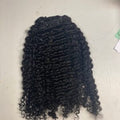 Burmese Curly